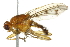  ( - 10BBCDIP-2139)  @14 [ ] CreativeCommons - Attribution (2010) CBG Photography Group Centre for Biodiversity Genomics