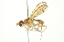  ( - 10BBCDIP-2144)  @14 [ ] CreativeCommons - Attribution (2010) CBG Photography Group Centre for Biodiversity Genomics