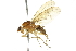  ( - 10BBCDIP-2158)  @14 [ ] CreativeCommons - Attribution (2010) CBG Photography Group Centre for Biodiversity Genomics
