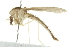  ( - 10BBCDIP-2260)  @13 [ ] CreativeCommons - Attribution (2010) CBG Photography Group Centre for Biodiversity Genomics