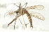  ( - 10BBCDIP-2265)  @12 [ ] CreativeCommons - Attribution (2010) CBG Photography Group Centre for Biodiversity Genomics