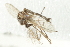  ( - 10BBCDIP-2278)  @12 [ ] CreativeCommons - Attribution (2010) CBG Photography Group Centre for Biodiversity Genomics