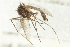  ( - 10BBCDIP-2279)  @12 [ ] CreativeCommons - Attribution (2010) CBG Photography Group Centre for Biodiversity Genomics