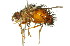  ( - 10BBCDIP-2375)  @14 [ ] CreativeCommons - Attribution (2010) CBG Photography Group Centre for Biodiversity Genomics