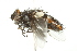  ( - 10BBCDIP-2469)  @12 [ ] CreativeCommons - Attribution (2010) CBG Photography Group Centre for Biodiversity Genomics