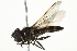  ( - 10BBCDIP-2673)  @13 [ ] CreativeCommons - Attribution (2010) CBG Photography Group Centre for Biodiversity Genomics