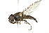  ( - 10BBCDIP-2696)  @14 [ ] CreativeCommons - Attribution (2010) CBG Photography Group Centre for Biodiversity Genomics