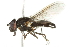 ( - 10BBCDIP-2699)  @14 [ ] CreativeCommons - Attribution (2010) CBG Photography Group Centre for Biodiversity Genomics