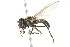  ( - 10BBCDIP-2700)  @14 [ ] CreativeCommons - Attribution (2010) CBG Photography Group Centre for Biodiversity Genomics
