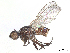  ( - 10BBCDDIP-3220)  @11 [ ] CreativeCommons - Attribution (2023) CBG Photography Group Centre for Biodiversity Genomics