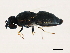  ( - 10BBCDDIP-3229)  @12 [ ] CreativeCommons - Attribution (2011) CBG Photography Group Centre for Biodiversity Genomics