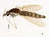  ( - 10BBCDIP-3021)  @13 [ ] CreativeCommons - Attribution (2010) CBG Photography Group Centre for Biodiversity Genomics