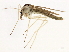  ( - 10BBCDIP-3022)  @12 [ ] CreativeCommons - Attribution (2010) CBG Photography Group Centre for Biodiversity Genomics