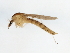  ( - 10BBCDIP-3431)  @13 [ ] CreativeCommons - Attribution (2011) CBG Photography Group Centre for Biodiversity Genomics