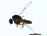  ( - 10BBCDIP-3463)  @12 [ ] CreativeCommons - Attribution (2011) CBG Photography Group Centre for Biodiversity Genomics