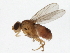  ( - 10BBCDIP-3175)  @13 [ ] CreativeCommons - Attribution (2010) CBG Photography Group Centre for Biodiversity Genomics