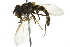  ( - 10BBCDIP-2731)  @12 [ ] CreativeCommons - Attribution (2010) CBG Photography Group Centre for Biodiversity Genomics