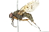  ( - 10BBCDIP-2887)  @13 [ ] CreativeCommons - Attribution (2010) CBG Photography Group Centre for Biodiversity Genomics