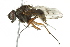  ( - 10BBCDIP-2890)  @13 [ ] CreativeCommons - Attribution (2010) CBG Photography Group Centre for Biodiversity Genomics