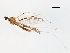  ( - PCPP10-0762)  @12 [ ] CreativeCommons - Attribution (2011) CBG Photography Group Centre for Biodiversity Genomics