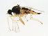  ( - PCPP10-0763)  @12 [ ] CreativeCommons - Attribution (2011) CBG Photography Group Centre for Biodiversity Genomics
