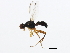  ( - PCPP10-0918)  @13 [ ] CreativeCommons - Attribution (2011) CBG Photography Group Centre for Biodiversity Genomics