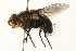  ( - 09BBEDI-0120)  @13 [ ] CreativeCommons - Attribution (2009) Unspecified Centre for Biodiversity Genomics