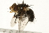  ( - 09BBEDI-0121)  @14 [ ] CreativeCommons - Attribution (2009) Unspecified Centre for Biodiversity Genomics