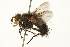 ( - 09BBEDI-0122)  @14 [ ] CreativeCommons - Attribution (2009) Unspecified Centre for Biodiversity Genomics