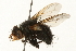  ( - 09BBEDI-0123)  @12 [ ] CreativeCommons - Attribution (2009) Unspecified Centre for Biodiversity Genomics