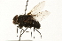  ( - 09BBEDI-0125)  @14 [ ] CreativeCommons - Attribution (2009) Unspecified Centre for Biodiversity Genomics