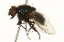  ( - 09BBEDI-0129)  @13 [ ] CreativeCommons - Attribution (2009) Unspecified Centre for Biodiversity Genomics