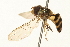  ( - 09BBEDI-0173)  @13 [ ] CreativeCommons - Attribution (2009) Unspecified Centre for Biodiversity Genomics