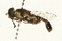 ( - 09BBEDI-0184)  @13 [ ] CreativeCommons - Attribution (2009) Unspecified Centre for Biodiversity Genomics