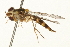  ( - 09BBEDI-0185)  @13 [ ] CreativeCommons - Attribution (2009) Unspecified Centre for Biodiversity Genomics
