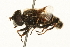  ( - 09BBEDI-0205)  @13 [ ] CreativeCommons - Attribution (2009) Unspecified Centre for Biodiversity Genomics
