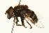  ( - 09BBEDI-0208)  @13 [ ] CreativeCommons - Attribution (2009) Unspecified Centre for Biodiversity Genomics