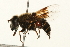  ( - 09BBEDI-0210)  @13 [ ] CreativeCommons - Attribution (2009) Unspecified Centre for Biodiversity Genomics