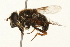  ( - 09BBEDI-0211)  @13 [ ] CreativeCommons - Attribution (2009) Unspecified Centre for Biodiversity Genomics