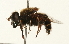  ( - 09BBEDI-0213)  @13 [ ] CreativeCommons - Attribution (2009) Unspecified Centre for Biodiversity Genomics