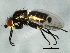  ( - 09BBEDI-0405)  @12 [ ] CreativeCommons - Attribution (2009) Unspecified Centre for Biodiversity Genomics