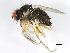  ( - 09BBEDI-0338)  @11 [ ] CreativeCommons - Attribution (2009) Unspecified Centre for Biodiversity Genomics
