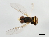  ( - 09BBEDI-0511)  @14 [ ] CreativeCommons - Attribution (2010) Unspecified Centre for Biodiversity Genomics