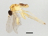  ( - 09BBEDI-0624)  @12 [ ] CreativeCommons - Attribution (2010) Unspecified Centre for Biodiversity Genomics