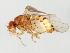  ( - 09BBEDI-0697)  @13 [ ] CreativeCommons - Attribution (2010) Unspecified Centre for Biodiversity Genomics