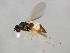 ( - 09BBEDI-0890)  @12 [ ] CreativeCommons - Attribution (2010) Unspecified Centre for Biodiversity Genomics