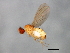  ( - 09BBEDI-0893)  @13 [ ] CreativeCommons - Attribution (2010) Unspecified Centre for Biodiversity Genomics