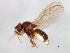  ( - 09BBEDI-0905)  @14 [ ] CreativeCommons - Attribution (2010) Unspecified Centre for Biodiversity Genomics
