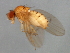  ( - 09BBEDI-0918)  @14 [ ] CreativeCommons - Attribution (2010) Unspecified Centre for Biodiversity Genomics