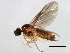  ( - 09BBEDI-0925)  @13 [ ] CreativeCommons - Attribution (2010) Unspecified Centre for Biodiversity Genomics